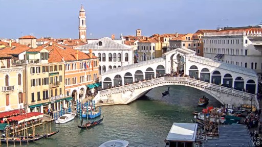 Venecia en vivo - Puente de Rialto
