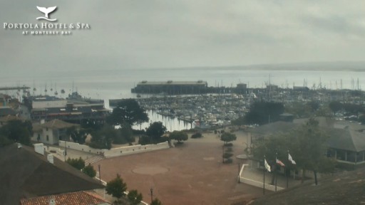 Monterey Bay webcam