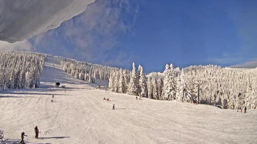 Camara en vivo de la estacion de esqui del Monte Spokane