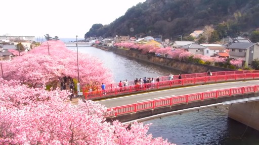 Kawazu River webcam