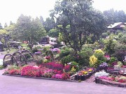 Taketa - Kuju Flower Park