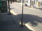 世界のライブカメラ