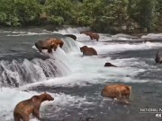 Parque Nacional Katmai - Cataratas Brooks