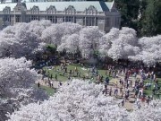 Seattle - Universidad de Washington
