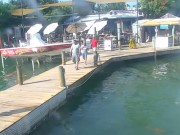 フロリダ州のライブカメラ カメ探