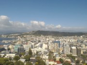 Wellington - Skyline