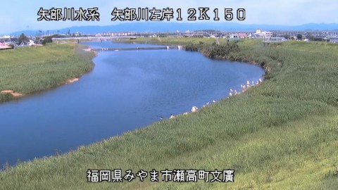 Live webcams in Yabe River