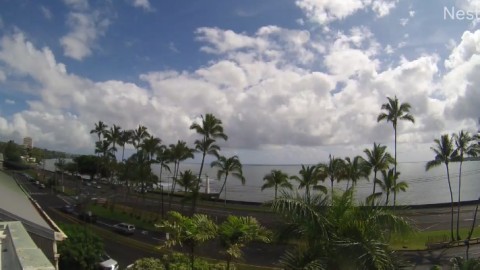 ハワイ島 ヒロ湾のライブカメラ