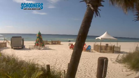 Camara en vivo de la playa Panama City Beach