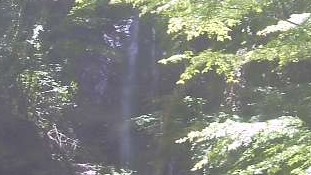 Hinohara Hossawa Falls webcam