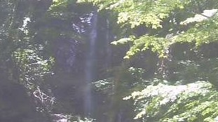 Tokyo Hinohara - Hossawa Falls Webcam