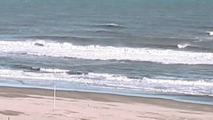 Kujukuri Beach webcam