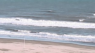 Kujukuri Beach Webcam