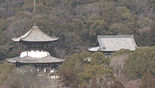 Iwade - Negoro-ji Temple Webcam