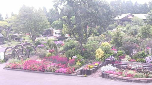 Taketa - Kuju Flower Park Webcam