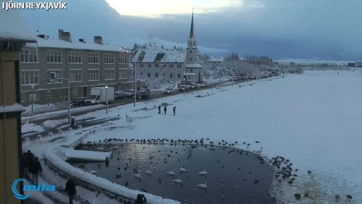 Reykjavík Tjornin webcam