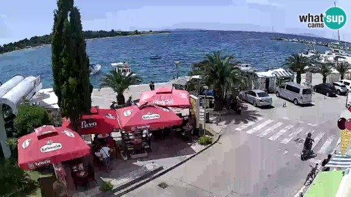 Cámara en vivo de la costa de Novalja