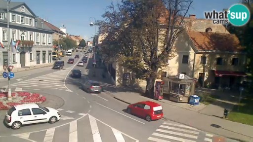 Karlovac - Peter Zrinski Street Webcam