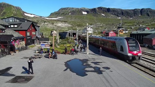 Ulvik en vivo Estacion de Finse