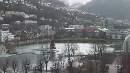 Bergen en vivo Festplassen