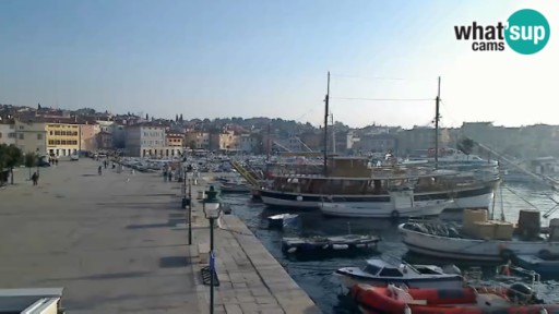Camara en vivo del puerto de Rovinj