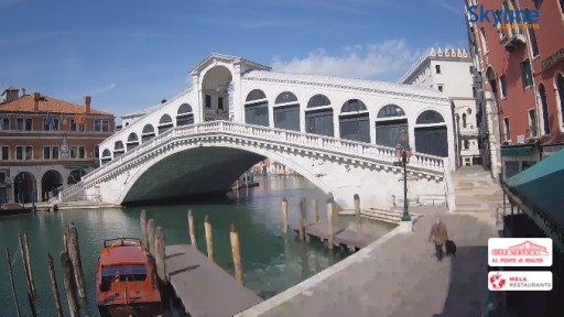 Venecia en vivo Puente de Rialto