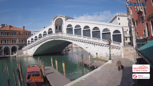 Venecia en vivo - Puente de Rialto