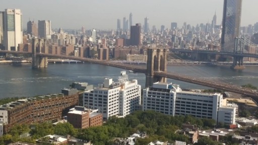 New York Brooklyn Bridge webcam 2