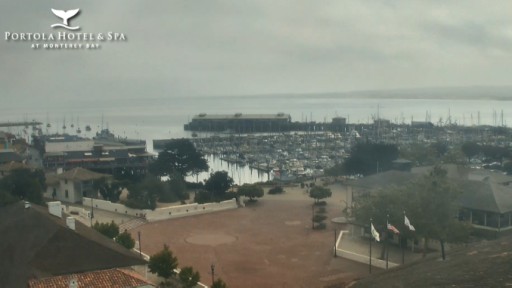 Camara en vivo de la bahia de Monterrey