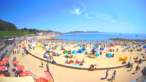 Playa de Lyme Regis en vivo