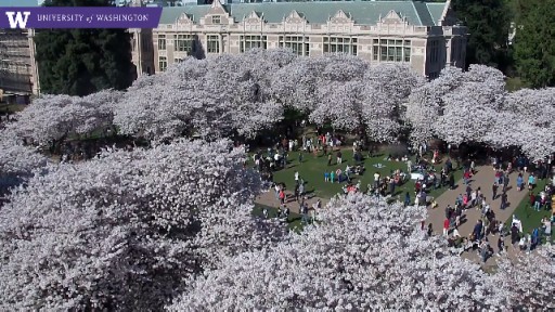 Seattle University of Washington webcam