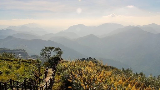 Live webcams in Alishan