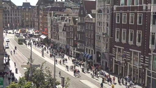 Amsterdam en vivo Damrak