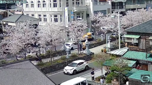 Kamakura Wakamiya Oji webcam