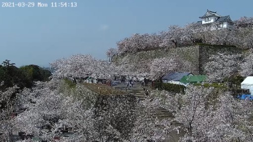 Tsuyama Castle webcam