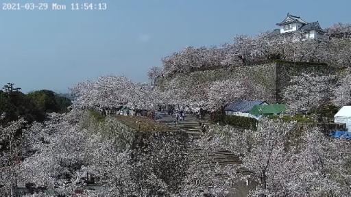 Tsuyama Castle Webcam