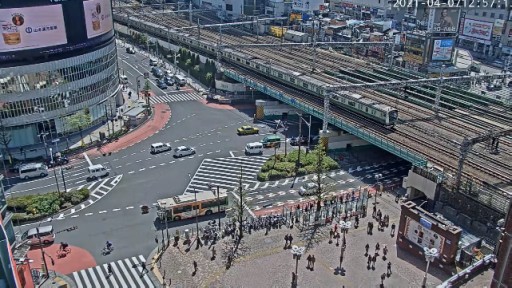 Tokyo Shinjuku - Ome-Kaido Ave. Webcam