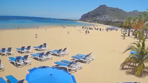 Tenerife en vivo Playa de Las Teresitas