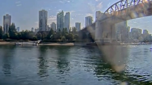 Vancouver False Creek webcam