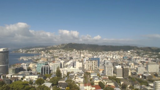 Wellington Skyline webcam