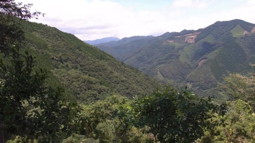 Morotsuka en vivo Paisaje