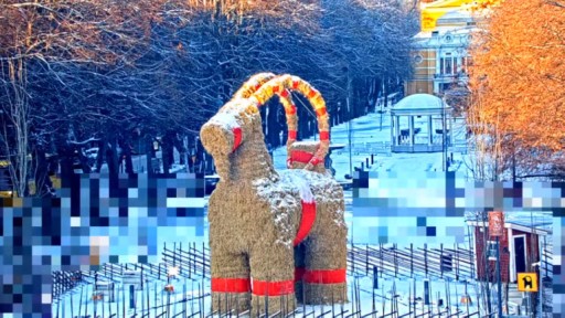 Gavle goat webcam