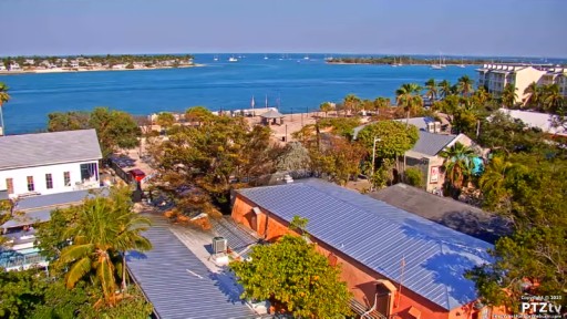 Puerto de Cayo Hueso en vivo