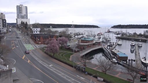 Puerto de Nanaimo en vivo