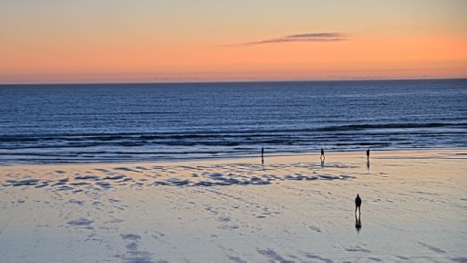 Cox Bay Beach Webcam from Tofino