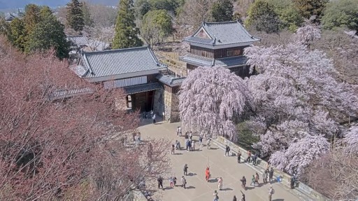 Ueda Castle webcam