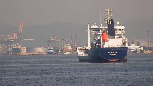 Cámara en vivo del puerto de Kingston