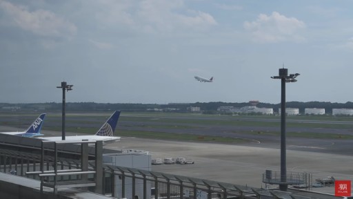 Aeropuerto de Narita en vivo