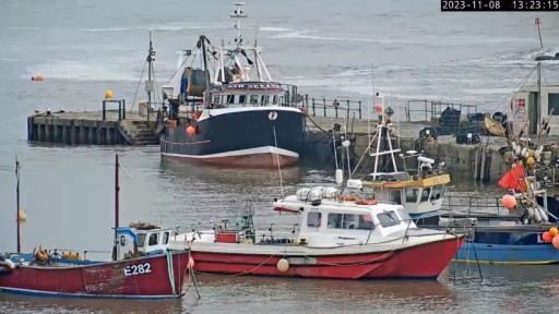 Camara en vivo del puerto de Lyme Regis