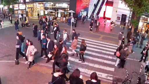 Shinjuku Kabukicho webcam 5